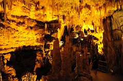 Grotte di Castellana42DSC_2503